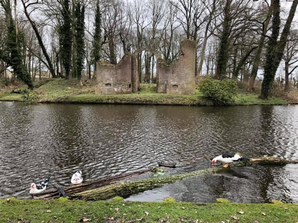 Vakantiehuisje 'T Wiede Blokzijl Esterno foto